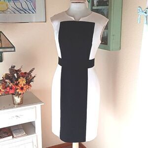 Calvin Klein Colorblock Dress